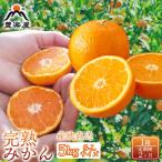 果汁 真穴産みかん 完熟みかん 5kg