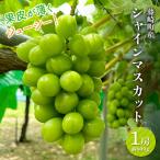 シャインマスカット 1房 約600g