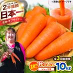 全3回定期 ジュース用秋にんじん10kg