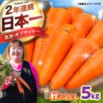 秋にんじん5kg にんじん BHCW015