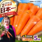 全3回定期 秋にんじん5kg にんじん BHCW017