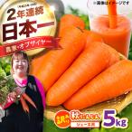ジュース用秋にんじん5kg 訳あり にんじん