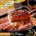 鰻 蒲焼 白焼 各3尾