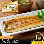 鰻 美陵鰻の白焼 1尾