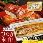 鰻 美陵鰻 蒲焼 白焼 各1尾 セット