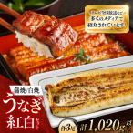 鰻 美陵鰻蒲焼 白焼 各3尾 セット