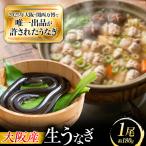 鰻 美陵鰻の生鰻 1尾