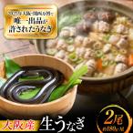 鰻 鰻の蒲焼き2尾セット BLAL001