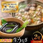 鰻 美陵鰻の生鰻 2尾