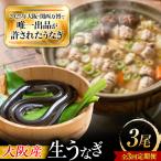 鰻 美陵鰻の生鰻 3尾