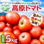 高原トマト 5kg