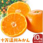 十万温州みかん L 10kg