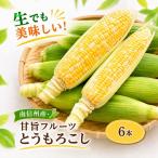 生でも美味しい 南信州産 甘旨 フルーツとうもろこし