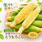 生でも美味しい 南信州産 甘旨 フルーツとうもろこし