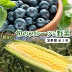 完熟 生ブルーベリー サザンハイブッシュ系