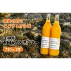 みかん ネクター 100% ジュース 温州みかん