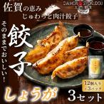 大門餃子 しょうが 12個入×3P 3セット