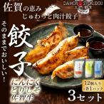 12個入×各1P にんにく餃子 とりしそ餃子 佐賀牛餃子 3セット