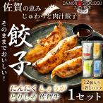12個入×各1P にんにく餃子 しょうが餃子 とりしそ餃子 佐賀牛餃子 1セット