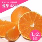 愛果48号 約3kg