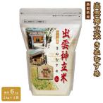 出雲神立米 きぬむすめ 精米6kg 2kg×3袋