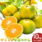 かごしま早生みかん L LL サイズ混合 10kg