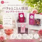 ローズティー バラパウダー いちご 古都華