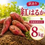 さつまいも 生芋 紅はるか 8kg