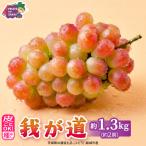 約1.3kg