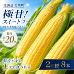 とうもろこし 黄 8本
