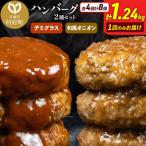 デミグラス オニオンソースハンバーグ 160g×各4個