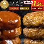 デミグラス オニオンソースハンバーグ 160g×各4個