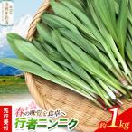 fu.... налог { предшествующий прием } line человек чеснок примерно 1kg Akita префектура . выгода книга@. город 
