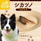 シカツノ