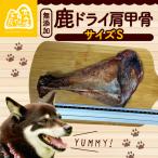 鹿ドライ肩甲骨 17~19cm