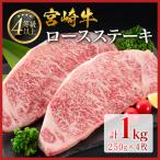 10日以内出荷 宮崎牛 赤身モモ肉 焼肉 計1kg