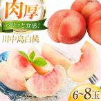 川中島白桃 6 8玉入り