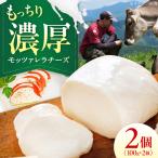 チーズ モッツァレラチーズ 2個セット BKAH006