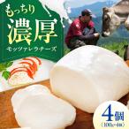 チーズ モッツァレラチーズ 4個セット BKAH008