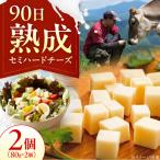 チーズ セミハードチーズ 2個セット BKAH009