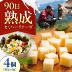 チーズ セミハードチーズ 4個セット BKAH011