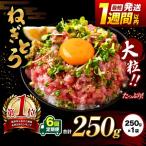ネギトロ 鮪 250g×1袋