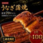 うなぎ 蒲焼 2尾