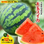 産の大玉スイカ約12kg Lサイズ2個セット