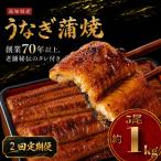 うなぎ 蒲焼 5尾