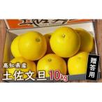 土佐 文旦 10kg