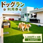 体験チケット ドッグラン利用券 4 000円分