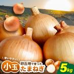 小玉 玉ねぎ 5kg