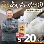 あいちのかおり 無洗米 10kg
