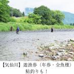 遊漁券 年券 全魚種 鮎釣りも対象 RT1266